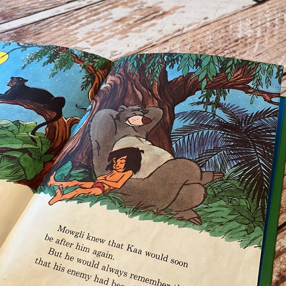 The Princess Who Never Laughed - Picture 12 of 14